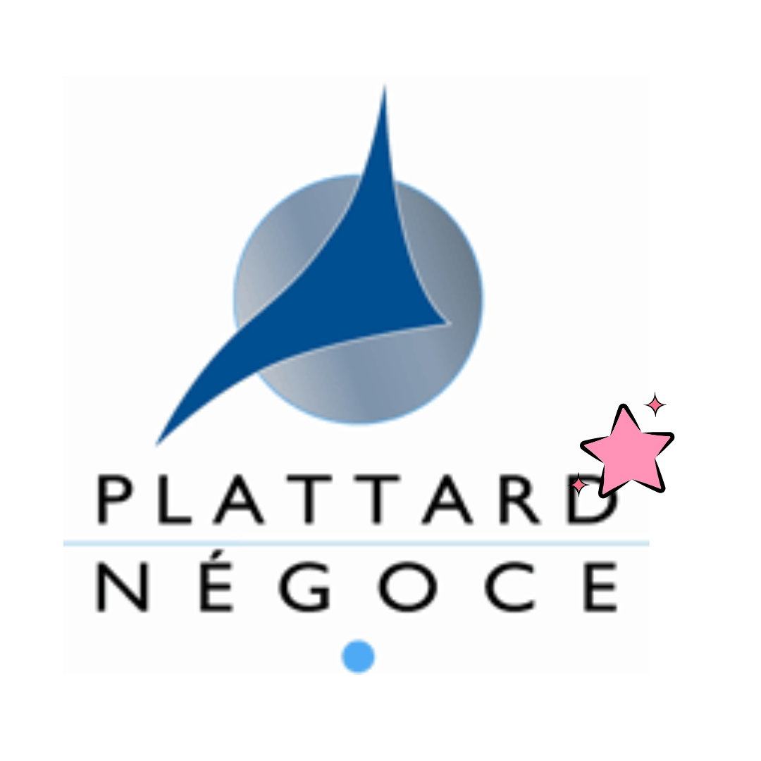 MIB LOGO PARTENAIRE (7)