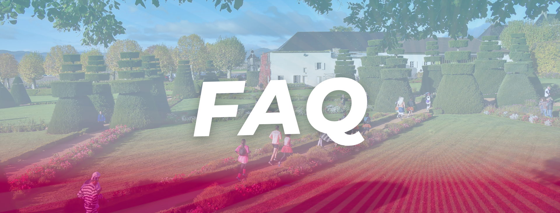 Bandeau FAQ Bandeau FAQ