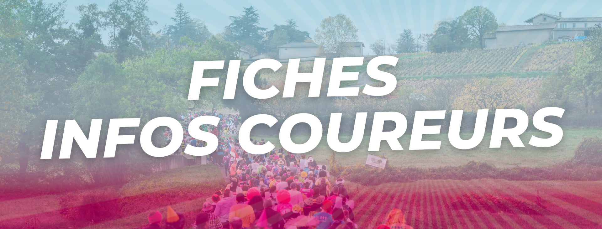 Bandeau site internet